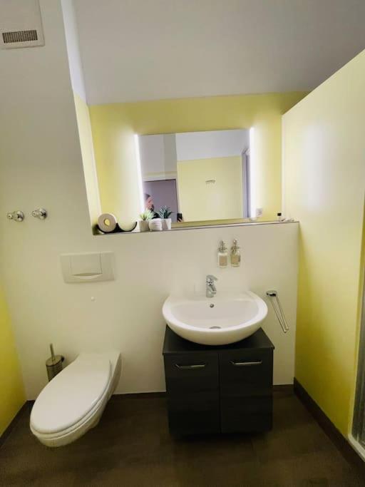 Fewo 20 - Appartement Im Rottalblick - Youngmodern Wohnen Mit Bademantelgang Zur Therme, Tv, Balkon Und Persoenlichem Gaesteempfang Von Astarte Estate Bad Griesbach im Rottal Extérieur photo